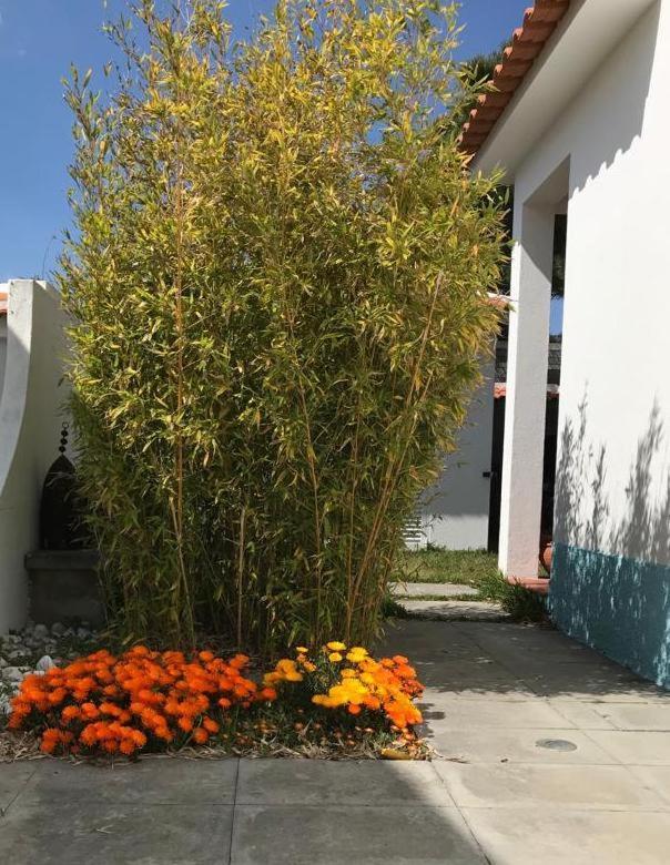 Santa Cruz Beach House Areias Zewnętrze zdjęcie
